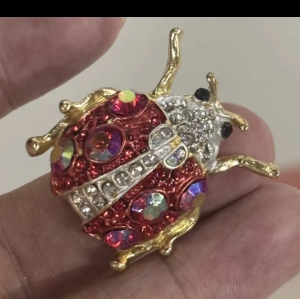 🆕️🐞 LADY BUG RHINESTONE PIN / BROOCH🐞
